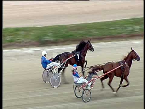 Trotto 04/06/2019 - prova di qualifica