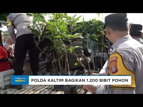 POLDA KALTIM BERSAMA BPDAS PERSEMAIAN MENTAWIR BAGIKAN 1 200 BIBIT POHON