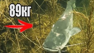Гарпун для рыбалки