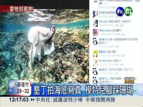 墾丁拍海底寫真 被控踩死活珊瑚