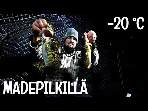 MADEPILKILLÄ PAUKKUPAKKASILLA - TELTASSA TARKENEE HYVIN!