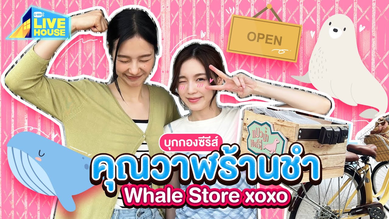 บุกกองคุณวาฬร้านชำ Whale Store xoxo คุณวาฬกับแมวน้ำ | GMMTV LIVE HOUSE