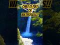 Hiking In The HUILO HUILO Nature Reserve Near PUCON CHILE Chile Pucon Chiletravel