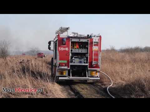 4.03.2017 Oleśnica - płonące nieużytki