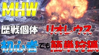 【MHW】初心者でも楽勝⁉睡眠爆破殴りライトボウガン‼wwネーミングセンスww