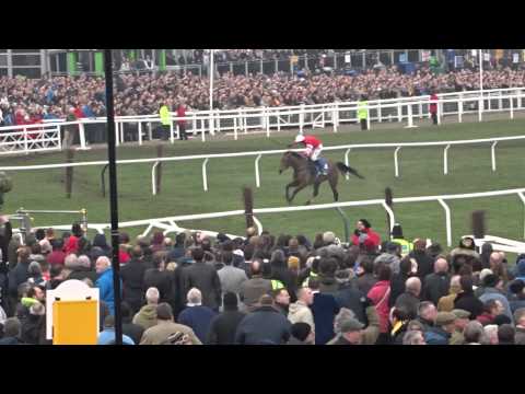 Coneygree winning the 2015 Cheltenham Gold Cup