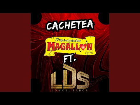 Cachetea
