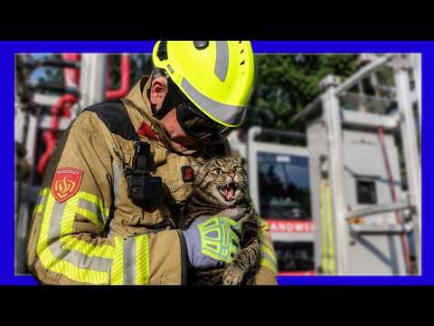 😱 Hoe is deze kat HIER terechtgekomen?! 🐱🚒  - VOLUNTEERS DUTCH FIREFIGHTERS -