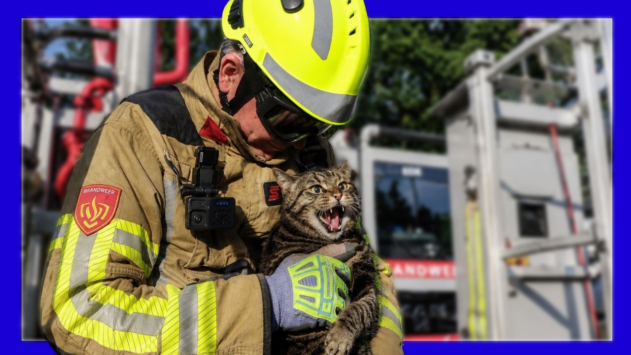 😱 Hoe is deze kat HIER terechtgekomen?! 🐱🚒  - VOLUNTEERS DUTCH FIREFIGHTERS -