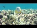 Part 2 Barney S Volunteer Adventure In The Maldives