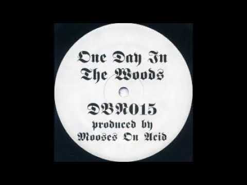 Mooses On Acid - Wicked Acid - Drop Bass Network DBN015