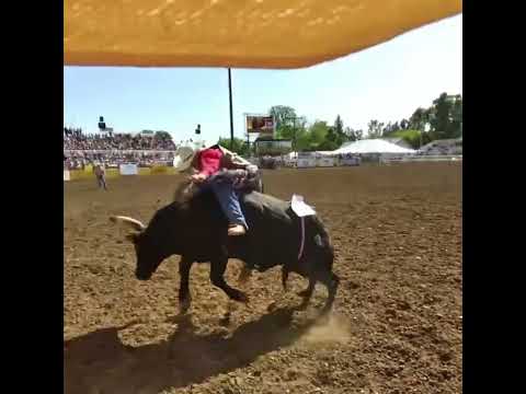 Portenier make a solid bull ride then saved by Webster & Harp