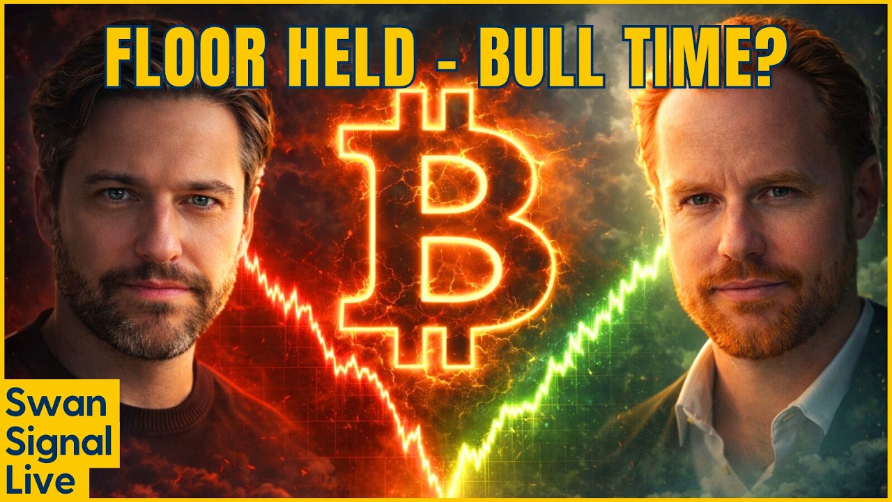 The Shallowest Bear Market Thesis: Officially Vindicated?