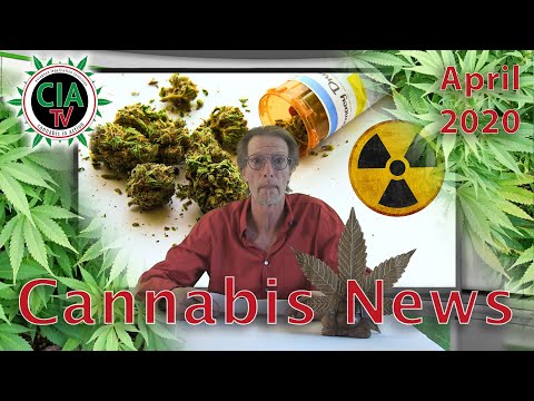 CannaNews April 2020 - US Jungferninseln , Libanon, Deutschland, Mike Tyson - Camp Nou