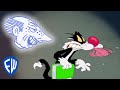 Friz Freleng Comments On Looney Tunes Cartoons Looney Tunes Critic EXCLUSIVE