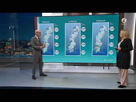 Så blir elpriset de närmsta dagarna: "Dyrt, mycket dyrt" | TV4 Nyheterna | TV4 & TV4 Play