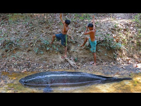 Spearfishing | Easy Making Wood Spear for Hunting Big Snake-head Fish | Wild Skills Recipe