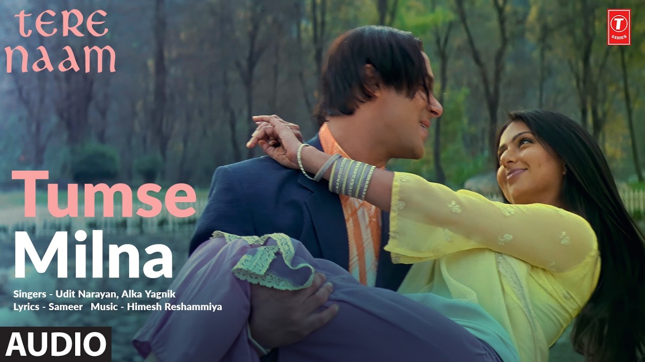 Tumse Milna (Full Audio) | Tere Naam | Salman Khan | Bhoomika | Udit Narayan, Alka Yagnik | Himesh