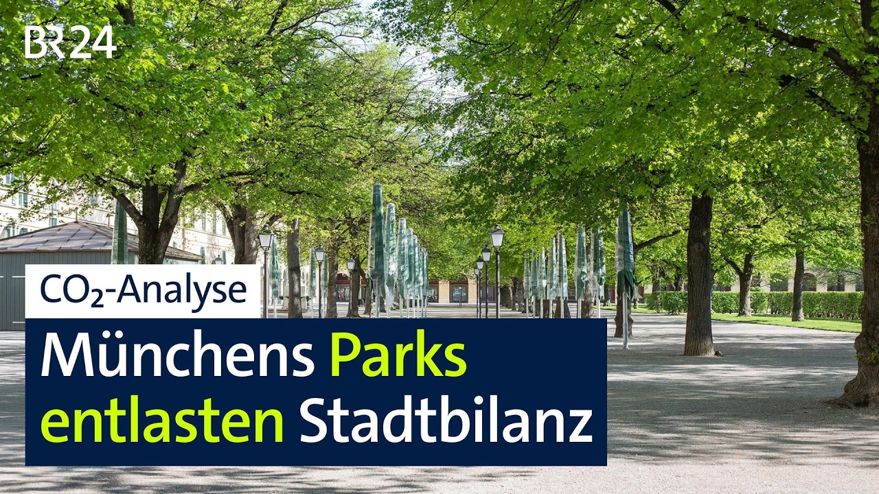 CO₂-Analyse: Münchens Parks entlasten die Stadtbilanz | BR24