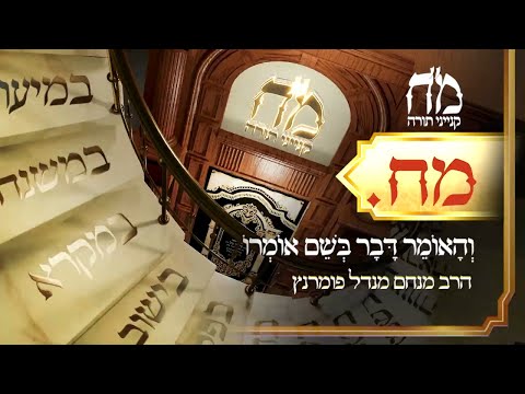 מ"ח קנייני תורה - מ"ח
