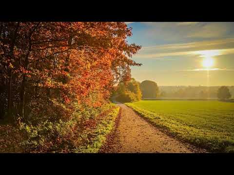 Tom Damage - Can't Escape My Love