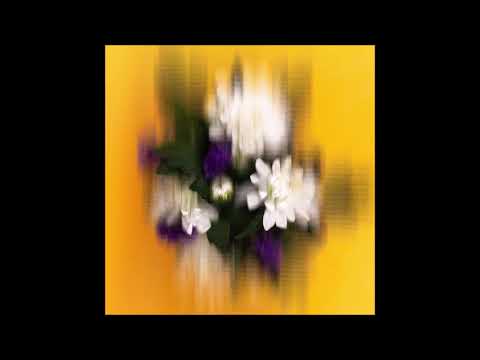 Beau Diako - Flutter (ft. Raelee Nikole)