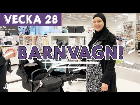 HJÄLP ! Går den ens igenom dörren!? - Amina Cehic vecka 28