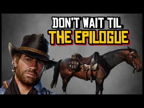 A Quick Guide & Tutorial: Perform This Simple Trick To Get The Dark Bay Turkoman Early in Chapter 3