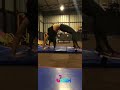 Yashika Hot Workout Video