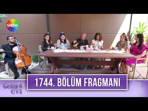 TV Programları