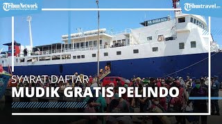 Daftar Sebelum Kehabisan! Pelindo Gelar Mudik Gratis dengan kuota 7.500