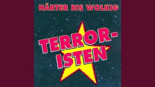Music video thumbnail preview for Große Liebe by Heiter bis Wolkig