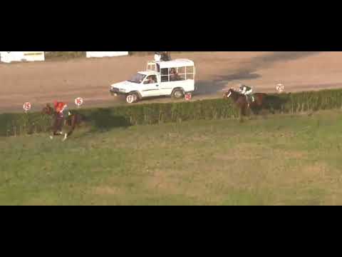 President Breeders Pakistan Cup Winner Perfect Again | Ridden By Safdar Ali Trained By Abid Mehmood|