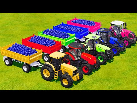 LOAD BLUEBARRYS AND TRANSPORT BATTLE WITH JOHN DERRE, McCORMICK, CASE, VALTRA And CLAAS TRACTORS