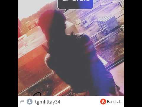 Tgm mentality (by tgmliltay) official diss