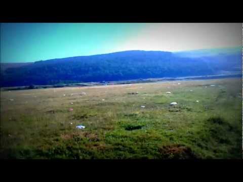 Beresti - nesimtire si gunoaie