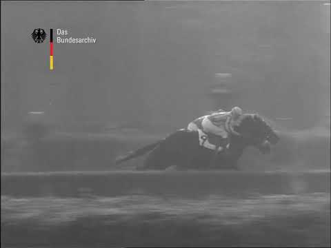 Preis von Europa 1963