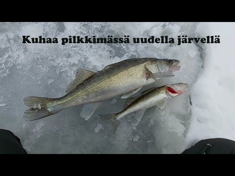 Kuhan kalastus | Uusi järvi | Jussi esittelee prototyypin