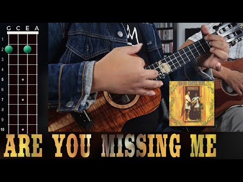 Are You Missing Me - Ka´au Crater Boys