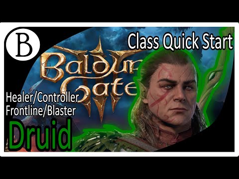 Baldur's Gate 3 - Controller, Healer, Blaster, Frontline - Druid Class Guide