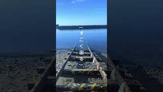 【鬱の時に作った曲】青春インザダーク　 #vocaloid #おすすめ #ボカロ