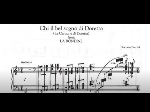Chi il bel Sogno di Doretta/accompaniment/반주/도레타의 꿈