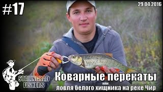 Рыбалка на реке чир ростовская область