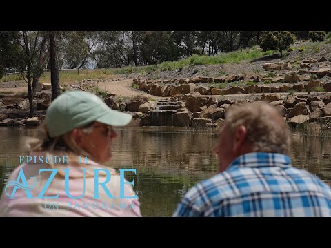 Azure on Panorama | Episode Fourteen |  Relax, Unwind, and Meet Our Alpacas at Azure on Panorama! 🦙