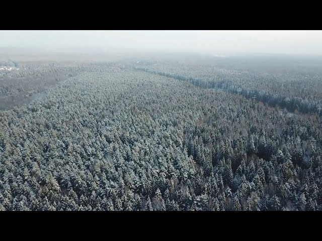 В Приангарье проверили готовность к лесопожарному сезону