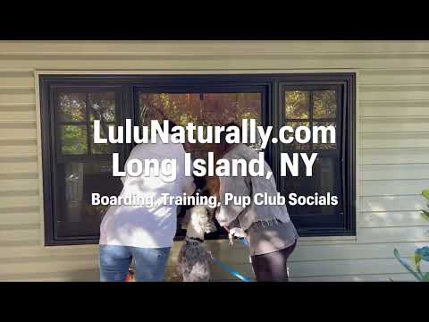 LuluNaturally.com video.