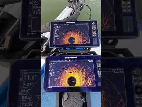 Humminbird MEGA 360 SOLIX-APEX Comparison from Chad "Big Fish" Phillips! Waypoint overlay BONUS!