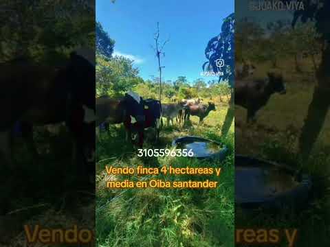 vendo hermosa finca en oiba Santander