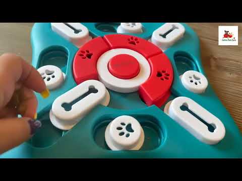 Petsta Dog Puzzle Toy Review and Buying Guide