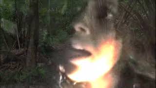 CUMADE FULOZINHA 5 - O CAPÍTULO FINAL - TEASER 3